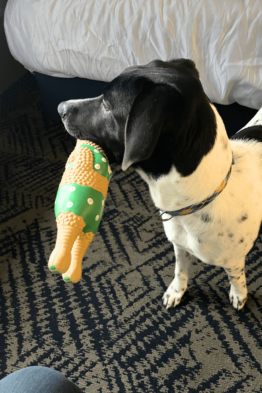 From Iraq to Texas: a war veteran's family finds joy with a jellybean