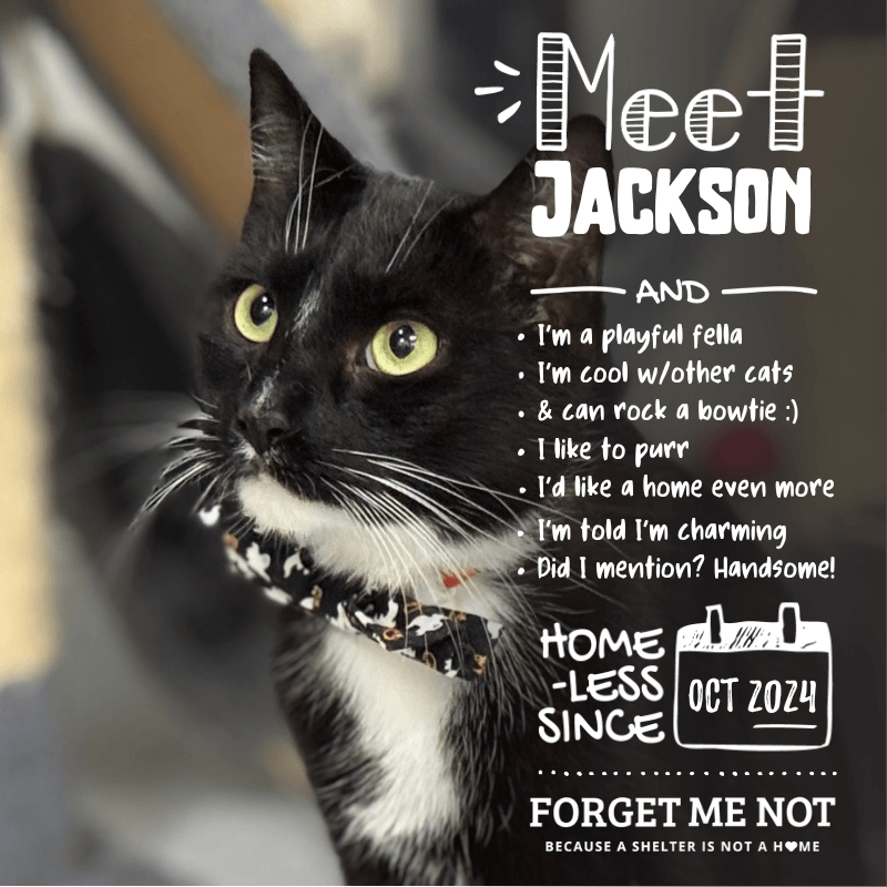 Jackson