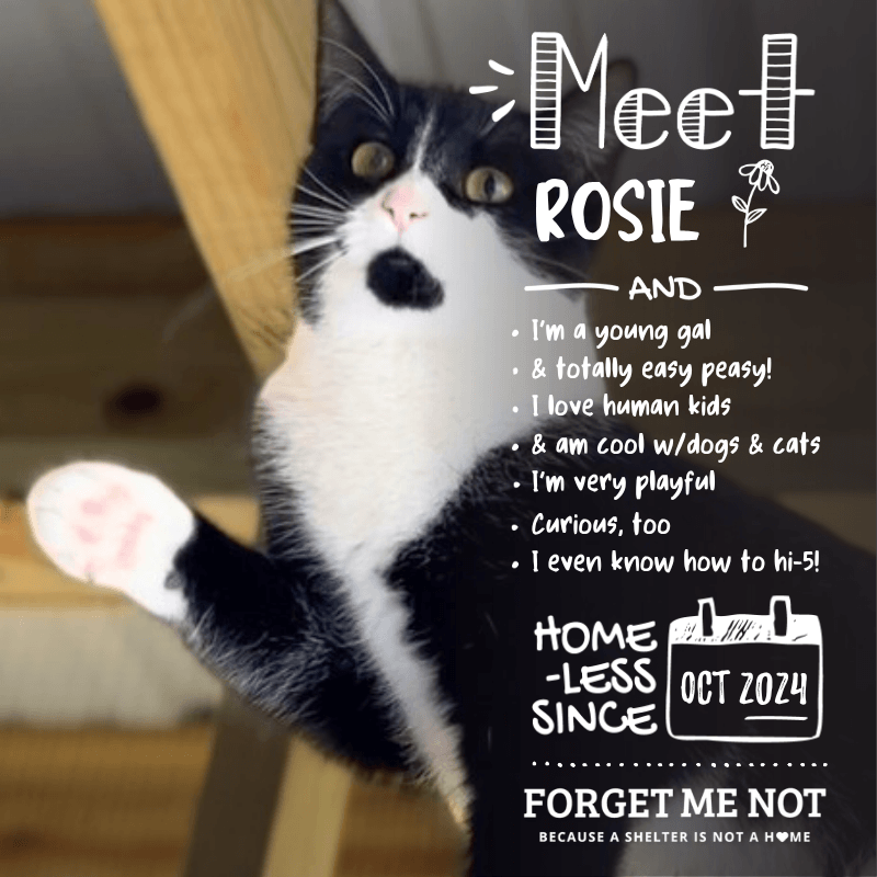 Rosie