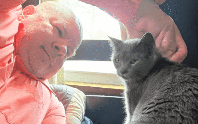 After the sudden loss of one cat a Navy corpsman saves another