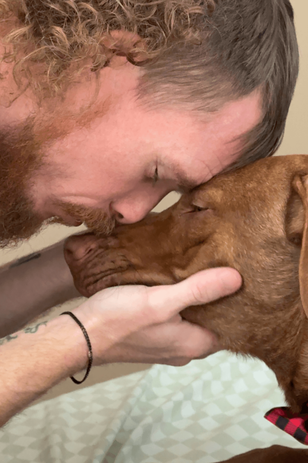 The canine battle buddy a war veteran never knew he needed