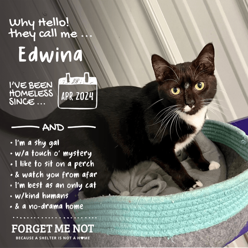 Edwina
