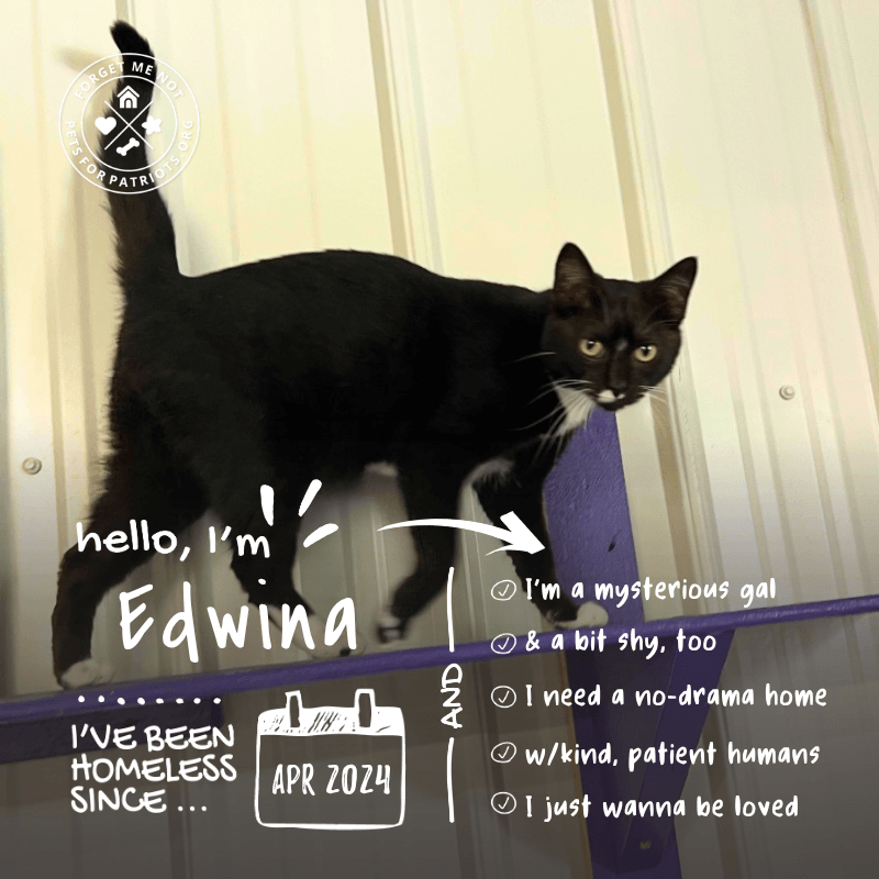 Edwina