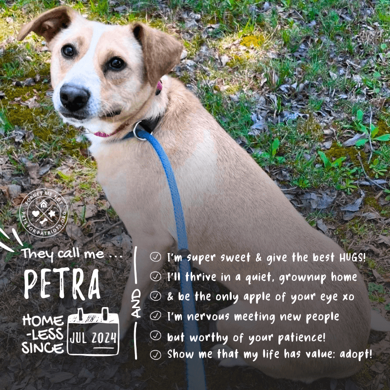 Petra