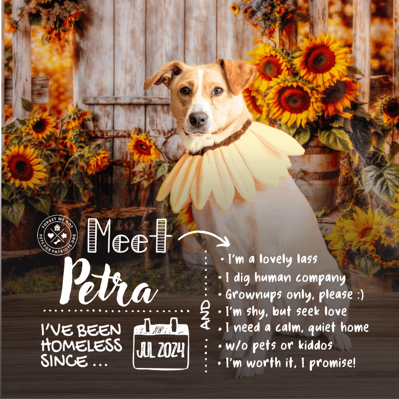 Petra