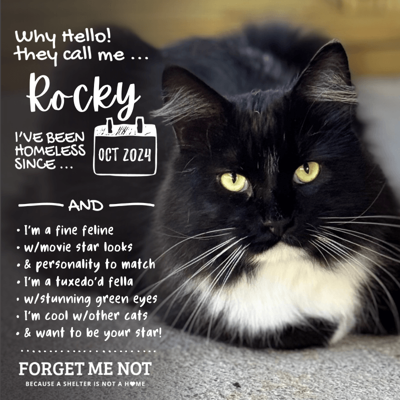 Rocky