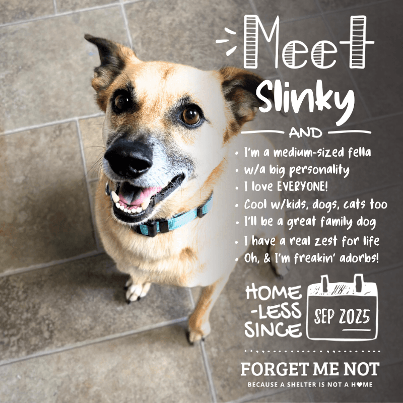 Slinky
