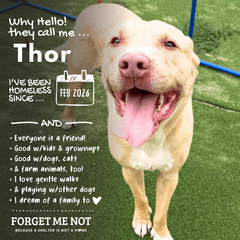 Thor