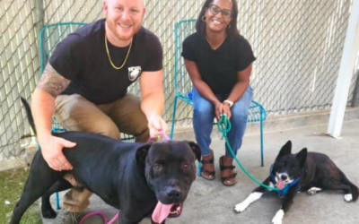 Rescued Pit Bull teaches an Air Force veteran a valuable life lesson