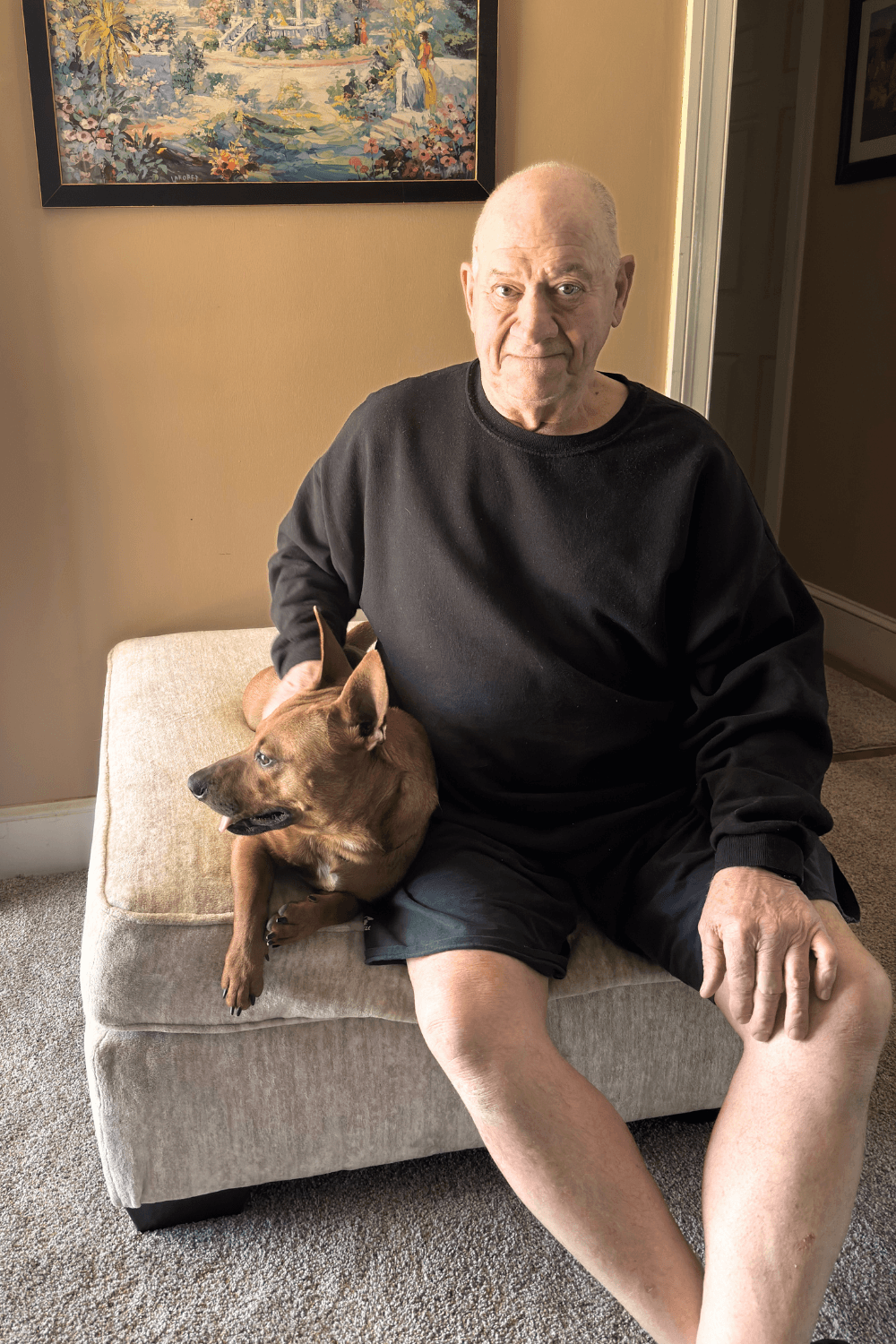 Twice adopted twice returned dog takes flight with Air Force veteran