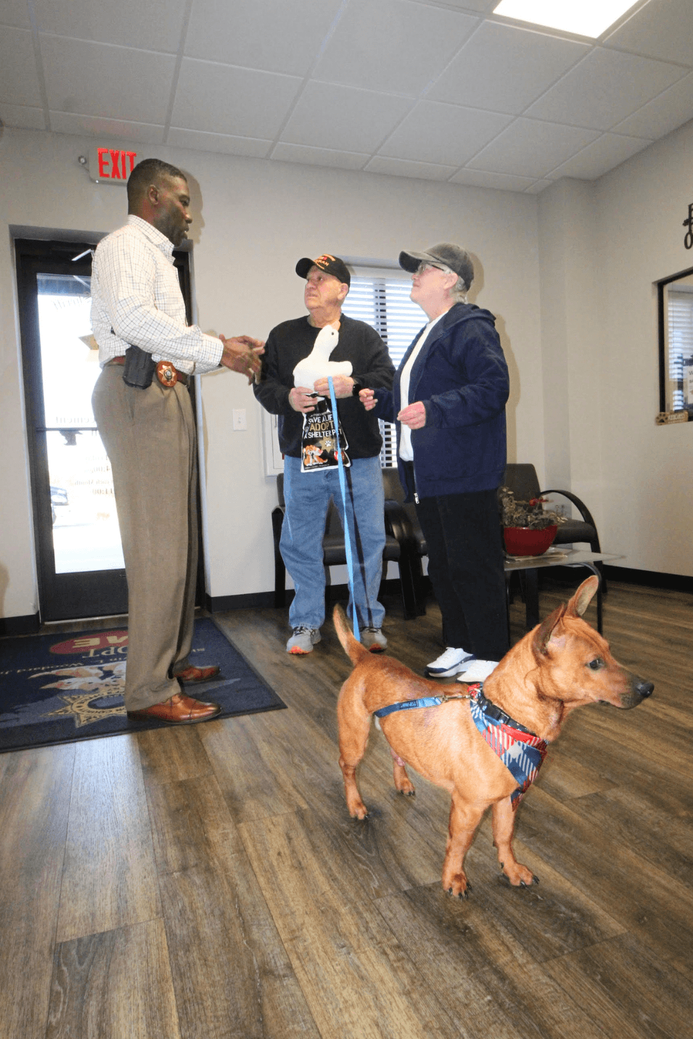Twice adopted twice returned dog takes flight with Air Force veteran