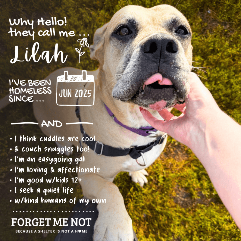 Lilah