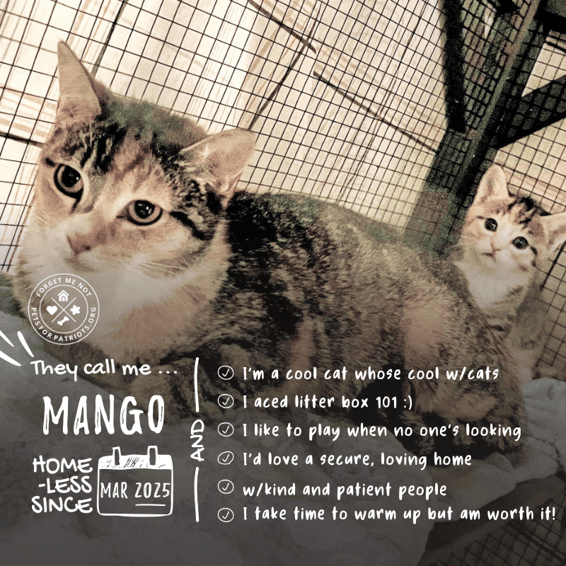 Mango