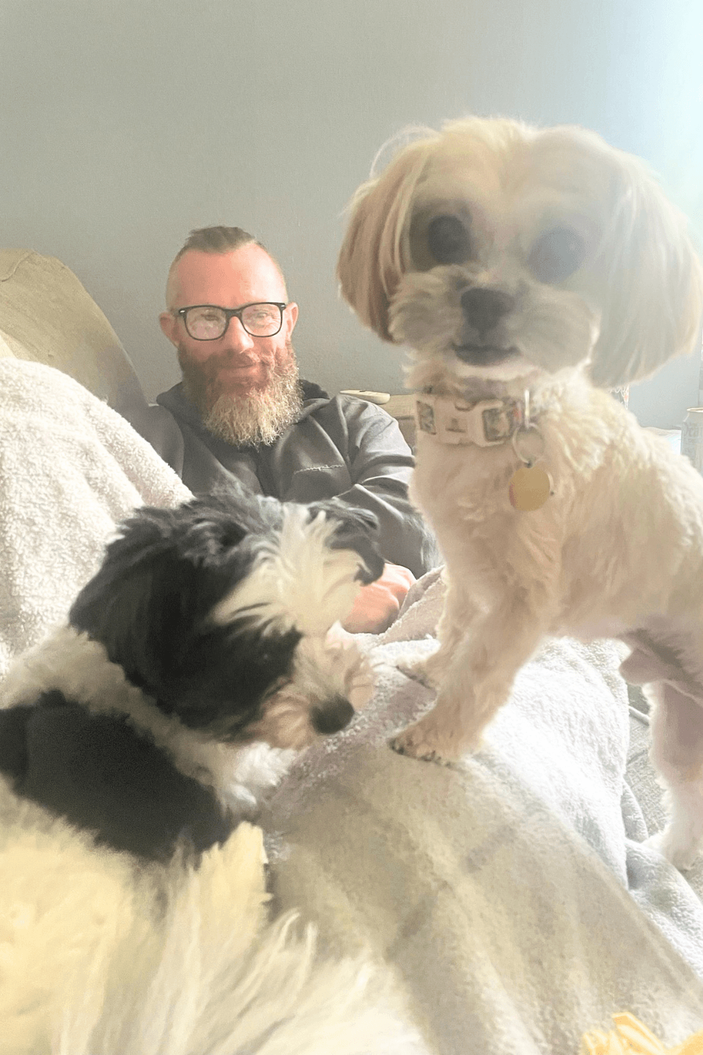 Iraq war veteran gives a bonded pair of senior dogs a home