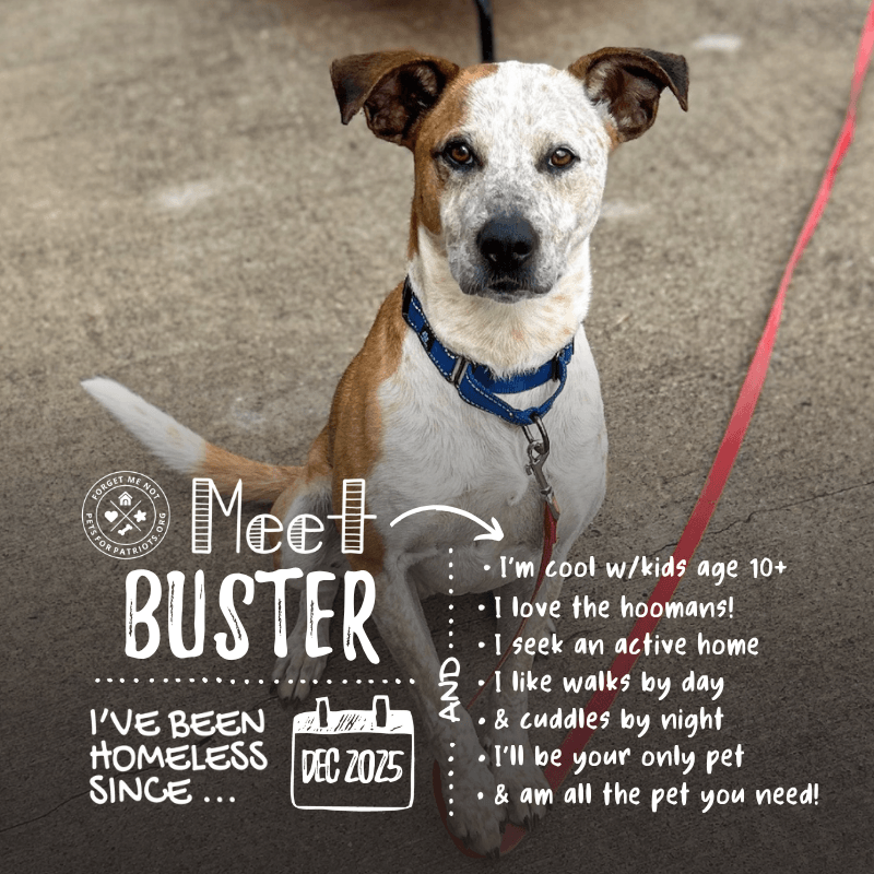 Buster