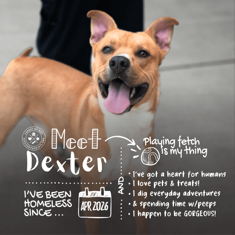 Dexter