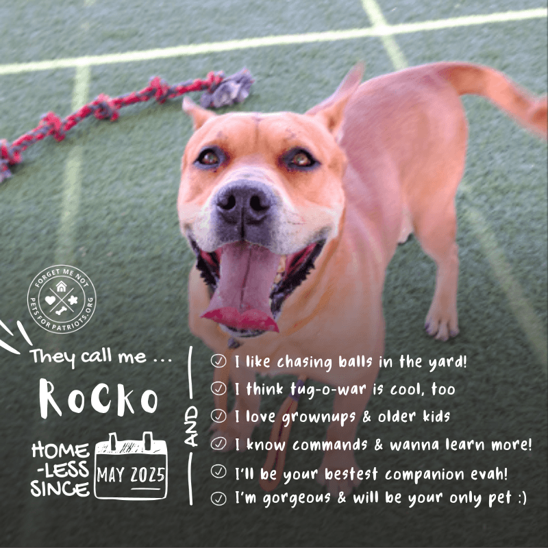 Rocko