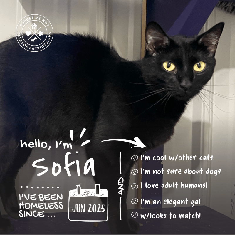Sofia