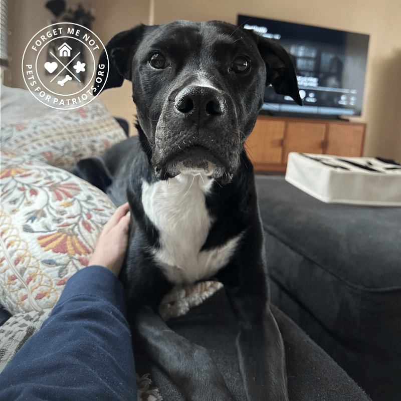 Truman