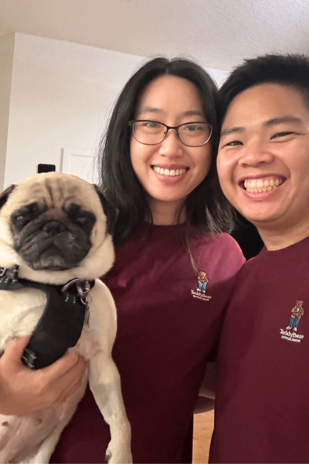 Reservist transitions to civilian life with cuddlesome Pug by his side