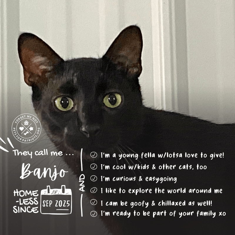 Banjo