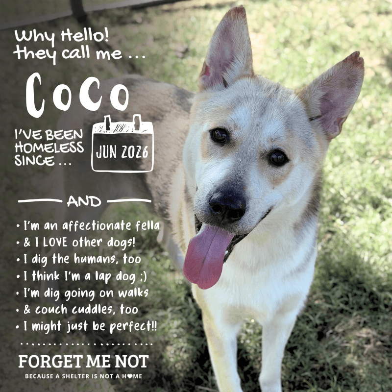 Coco
