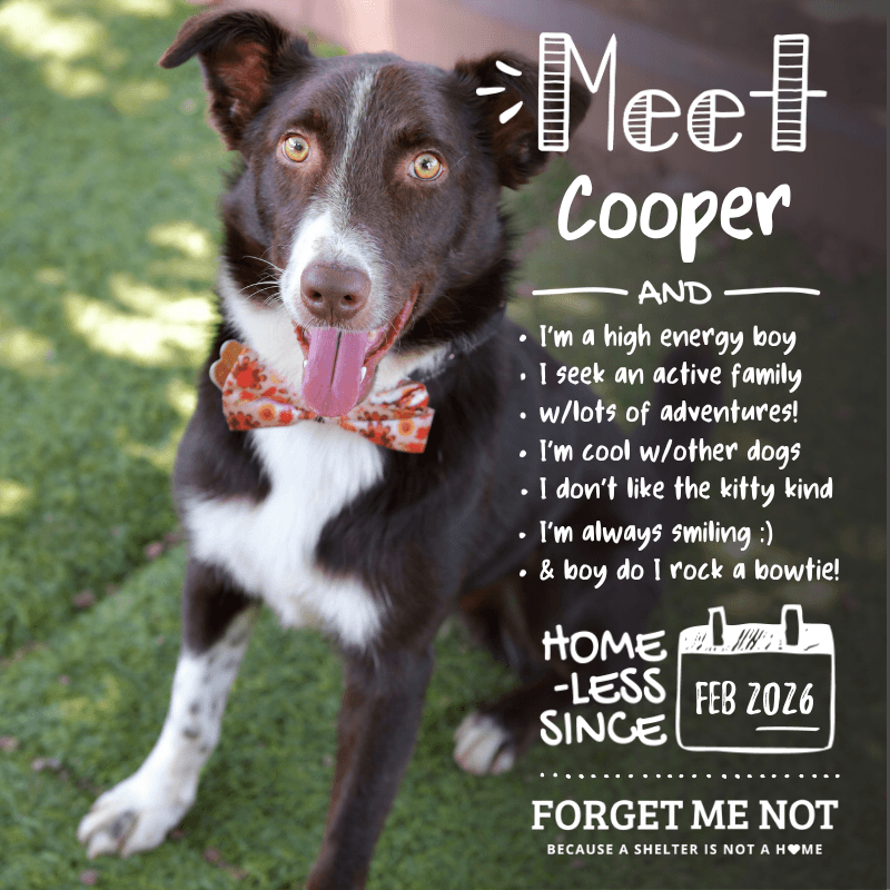 Cooper