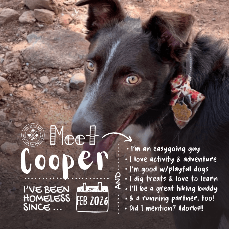 Cooper