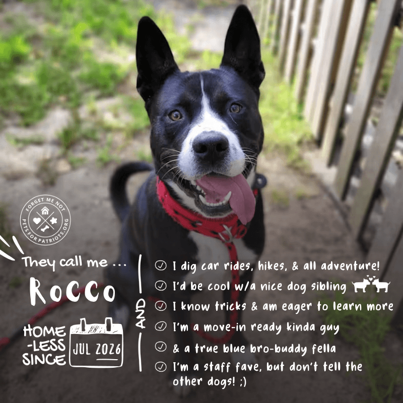 Rocco