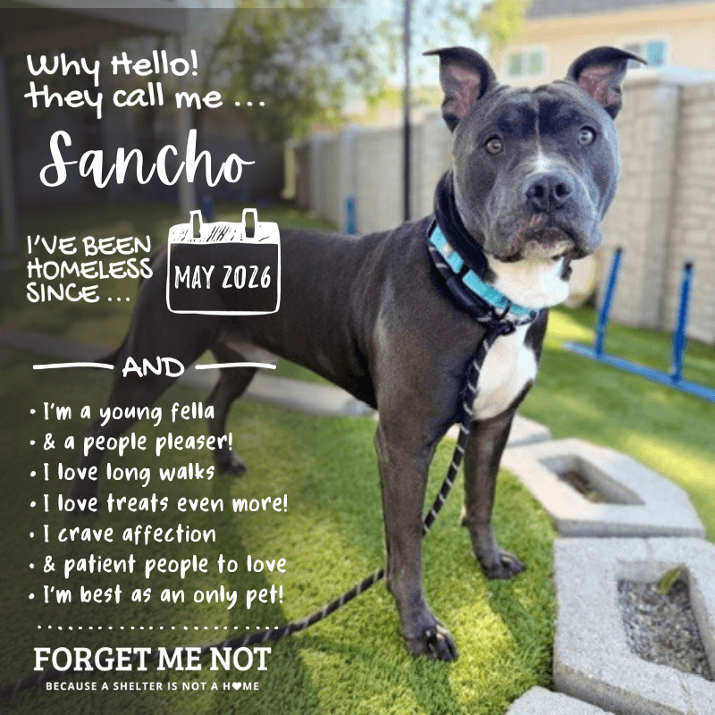 Sancho