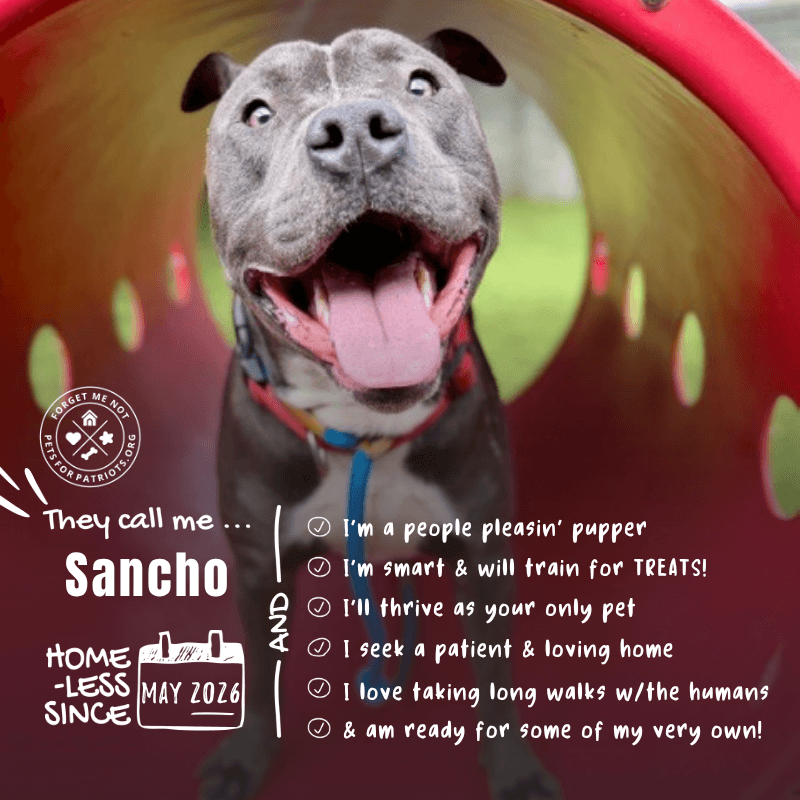 Sancho
