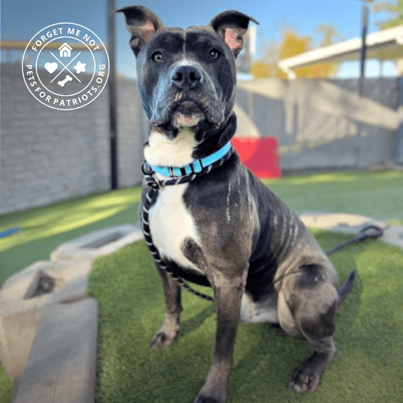 Sancho